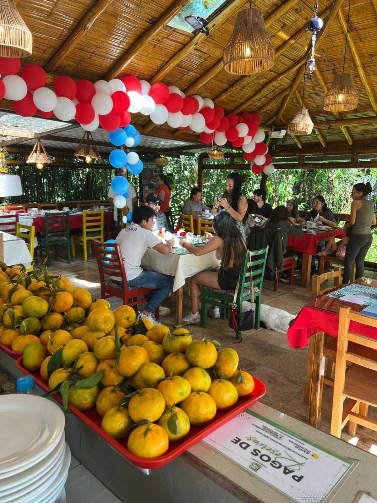 Hotel Cabanas Bambu Mindo Zewnętrze zdjęcie